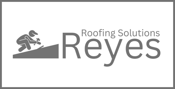 roofer seo review